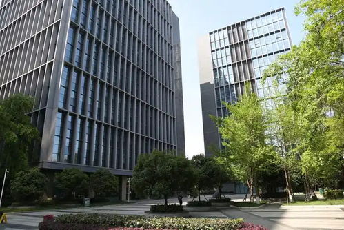 美團數字賦能西北 在新疆設立科技子公司或開啟區域研發新篇章