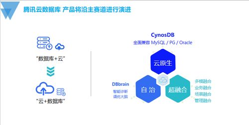 國產(chǎn)數(shù)據(jù)庫技術(shù)發(fā)展的探索與思考
